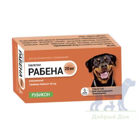 Рабена 20мг, 6 таблеток