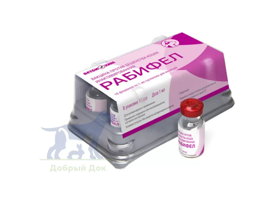 Рабифел, вакцина от бешенства для кошек