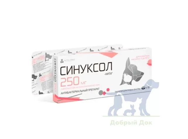 Синуксол-Нита 250, 10 таблеток