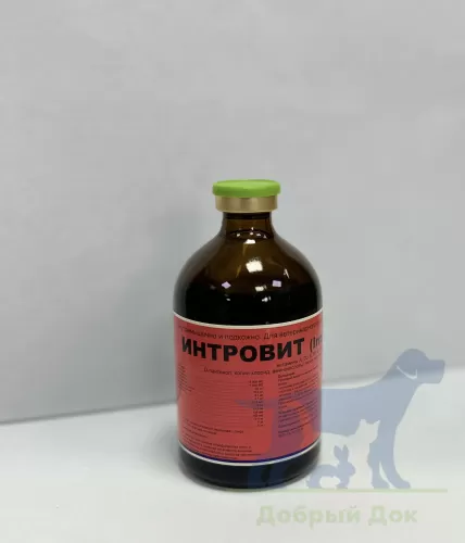 Интровит, раствор для инъекций, 100мл
