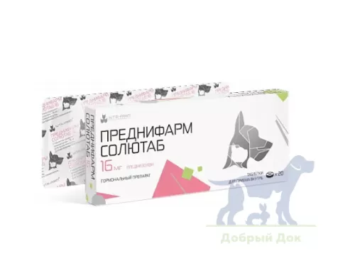Преднифарм Солютаб 16мг, 20таб