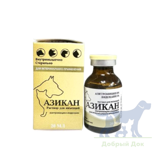 Азикан, раствор для инъекций, 20мл