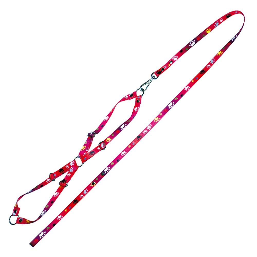 Комплект Furacao шлейка+поводок для собак, цвет красный 0792