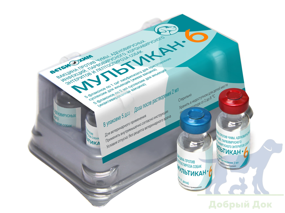 Мультикан-6, вакцина для собак