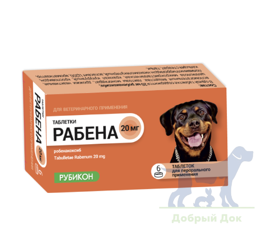 Рабена 20мг, 6 таблеток