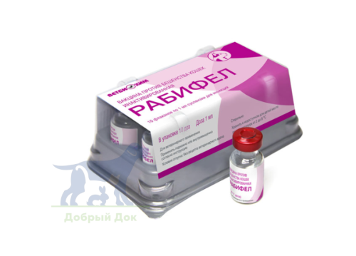 Рабифел, вакцина от бешенства для кошек